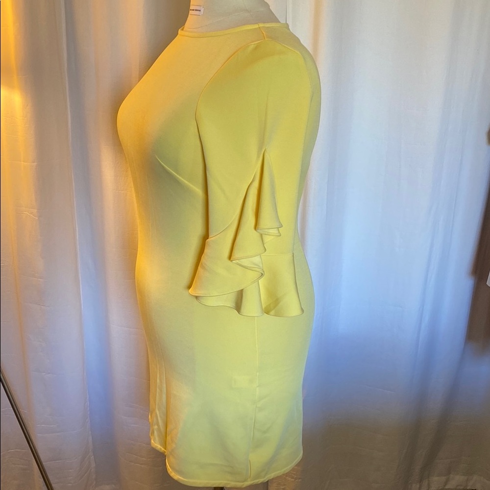 Yellow Ruffle Sleeve Dress - Picture 7 of 9
